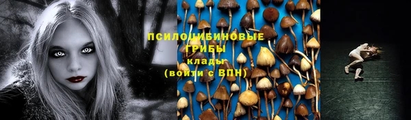 стаф Алзамай