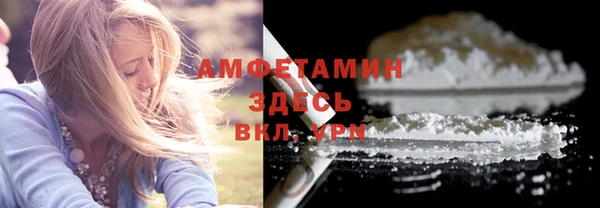 стаф Алзамай