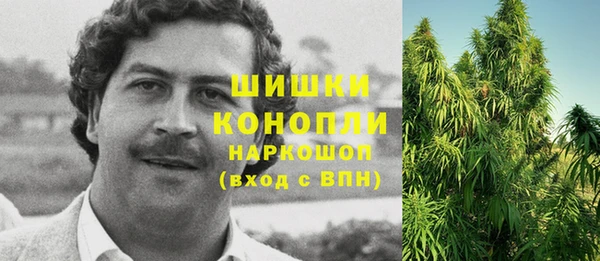 apvp Ессентукская