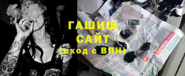 стаф Алзамай