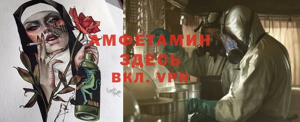 стаф Алзамай